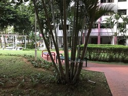 Blk 692A Choa Chu Kang Crescent (Choa Chu Kang), HDB 4 Rooms #217391111